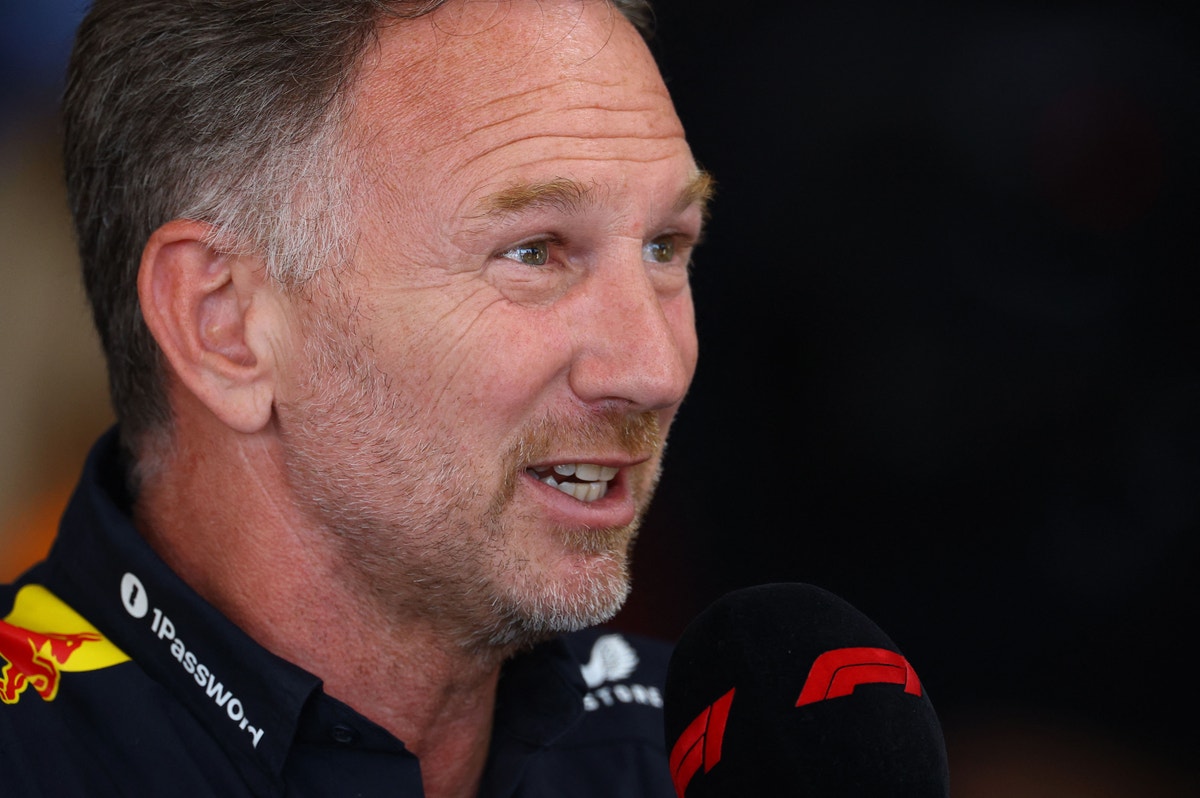 Horner får stöd för F1-comeback från FIA-chef
