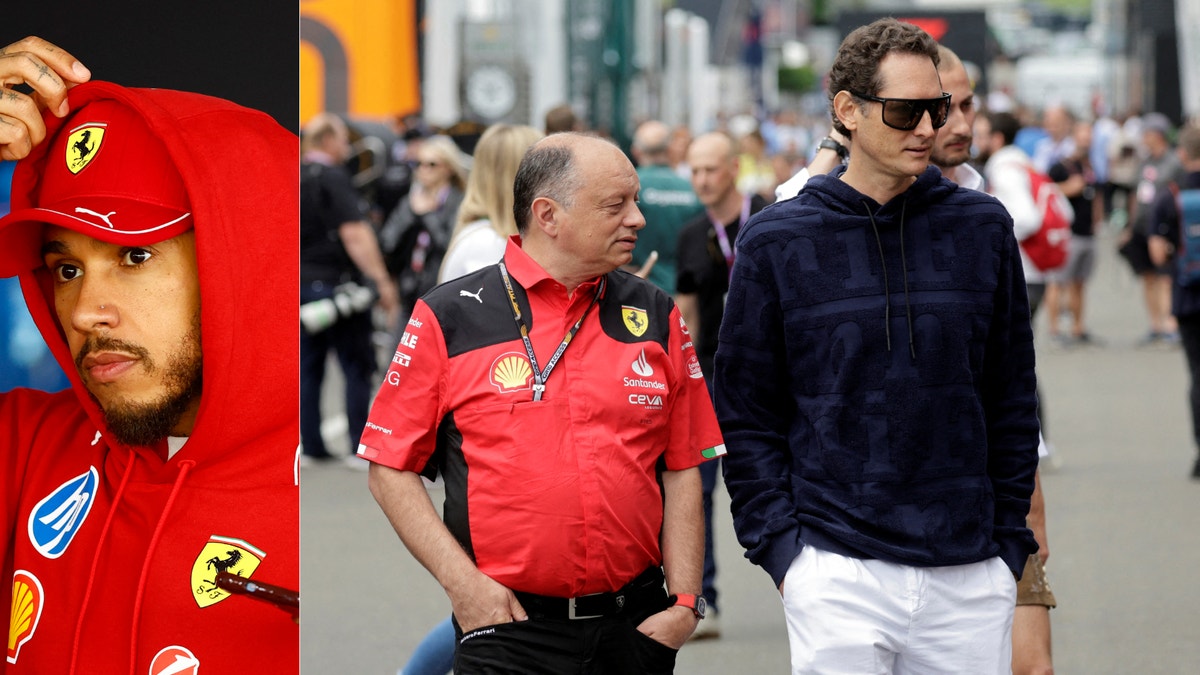 Efter bossens sågning - Hamiltons svar