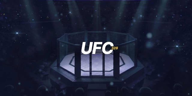 UFC 328