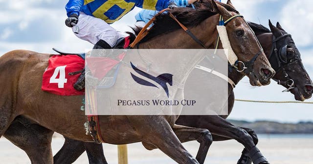 Pegasus_World_Cup
