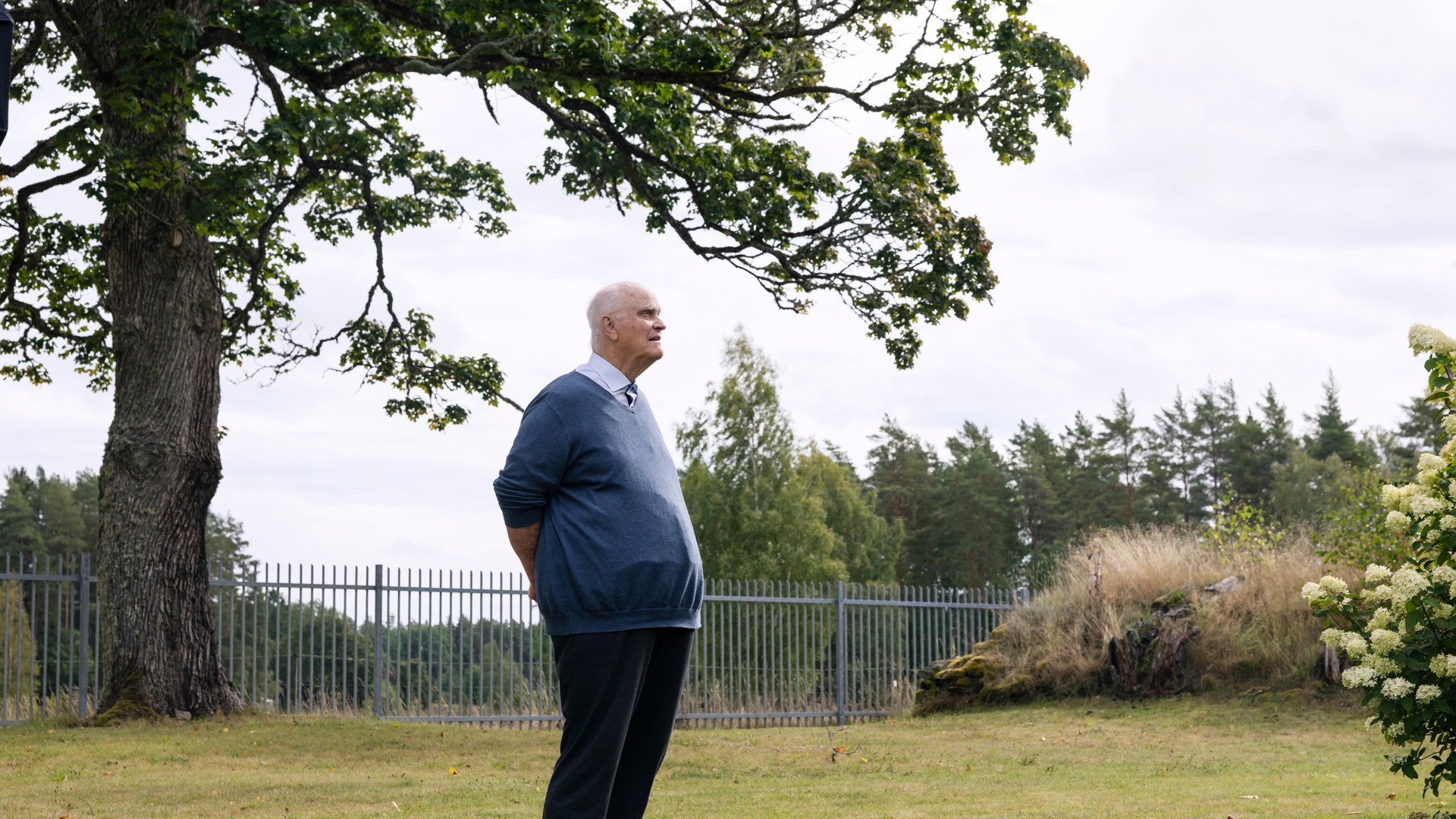 En man i blå jacka står på en grässmatta vid ett stort träd. I bakgrunden syns ett vitt staket och skog.