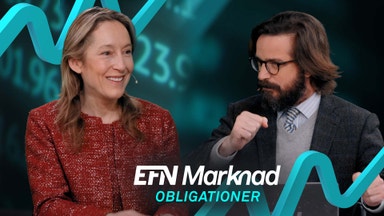 Är Europa ett museum – eller ett skrikande köpläge?