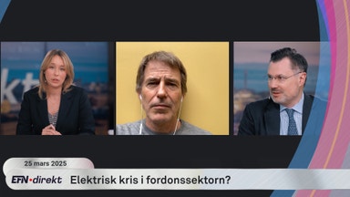 Fordonssektorn 2025: Köpläge eller kris?