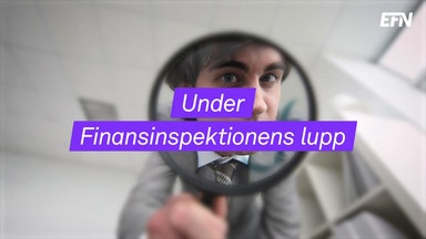 Det här ska FI hårdgranska