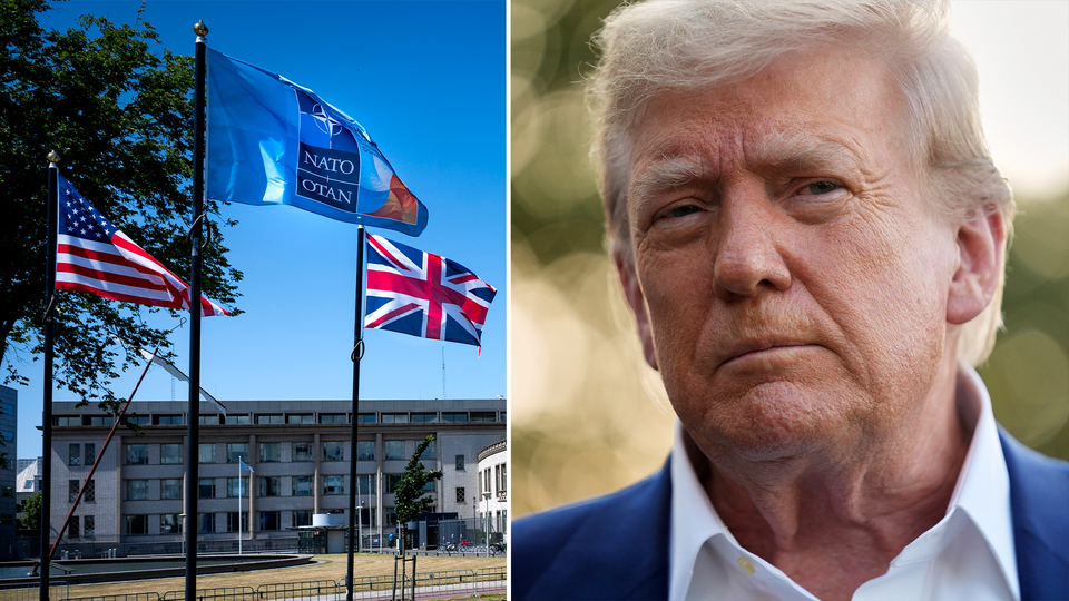 USA:s president Donald Trump medverkar på Nato-toppmötet i Haag.