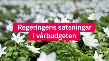 Så ser vårbudgeten ut