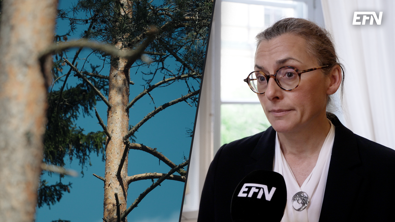 En tall framför en blå himmel till vänster, och Aleksandra Holmlund till höger.