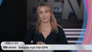 Hemberg om ägarutsikterna för Northvolt