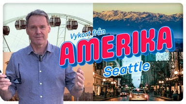 ”Det är ekonomin, dumbom” – chocken som splittrade USA