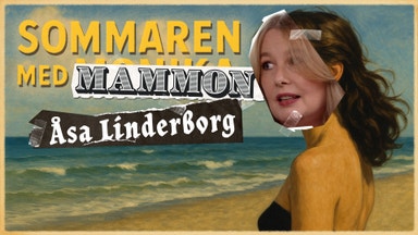Sommaren med Mammon: Åsa Linderborg