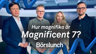 Favoriterna inom Mag 7