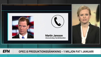 Bra start för Opecavtalet