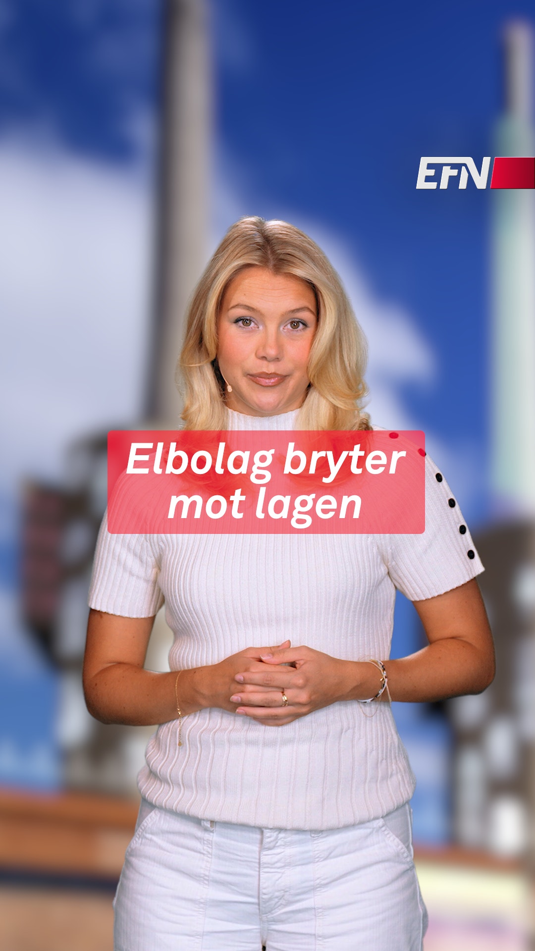 Elbolag