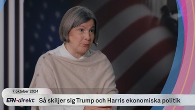 USA-ekonom: Därför kan en Trump-vinst vara negativ för börsen