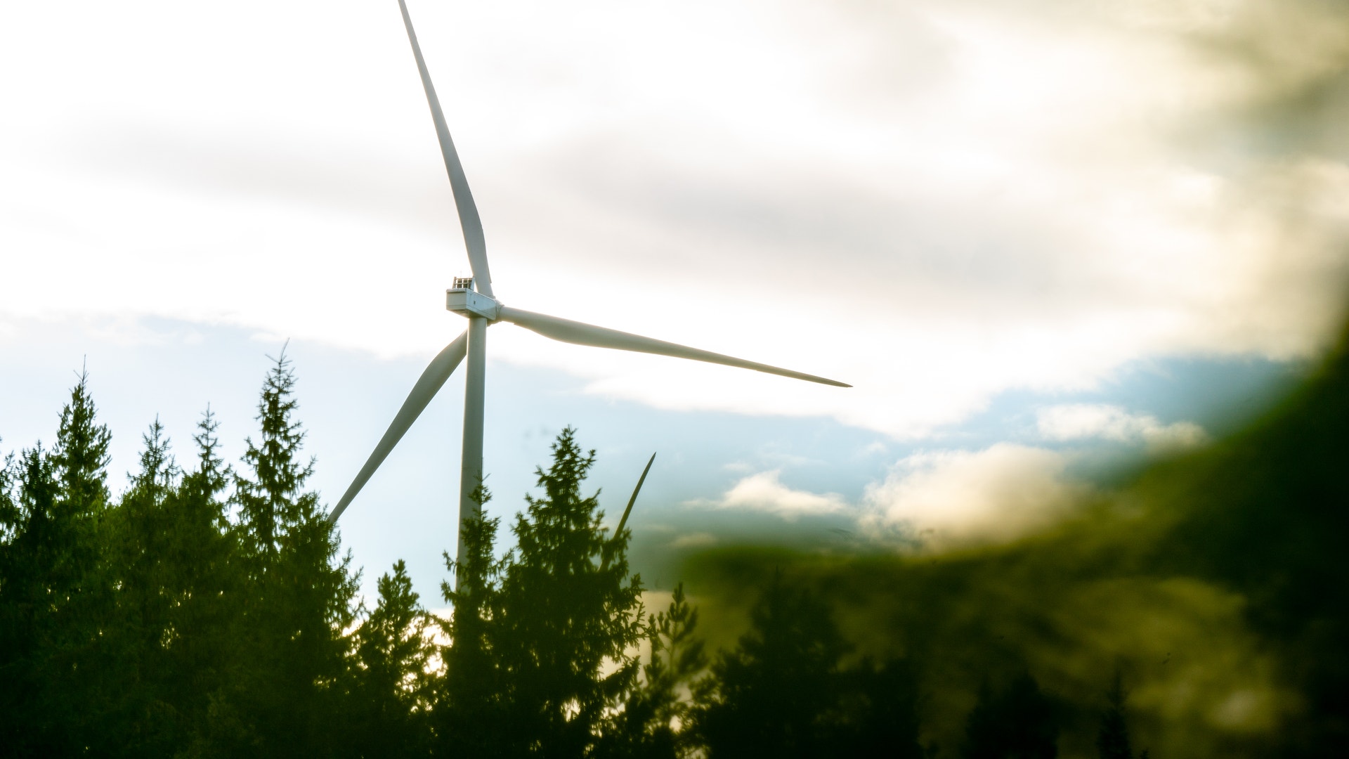 Bild på vindkraftverk i skogen.