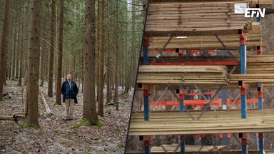 Karl Hedin om tullar: ”Virket upp 30 procent”