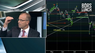 Så lågt ska börsen falla