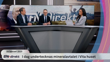 Så påverkas Europas ekonomi av mineralavtalet