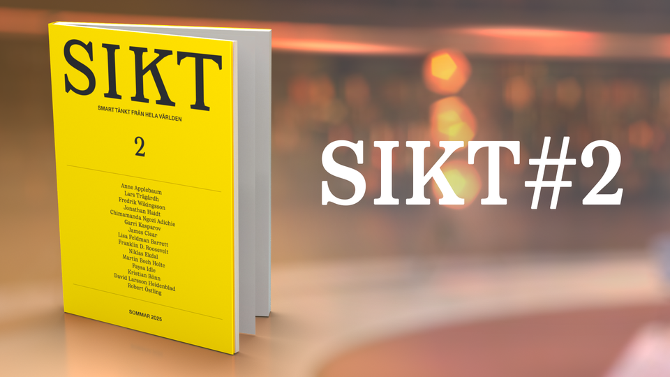 Omslaget till boken Sikt #2.