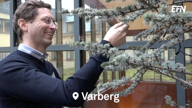 Biodrivmedel - en produkt som växer