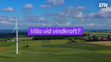 Vindkraft sänker villapriser