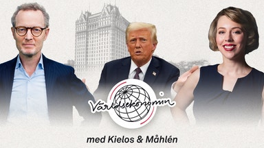 30. Trumps stora plan kan skada Wall Street