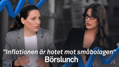 Teknikkonsulterna kan gynnas av Europas skifte