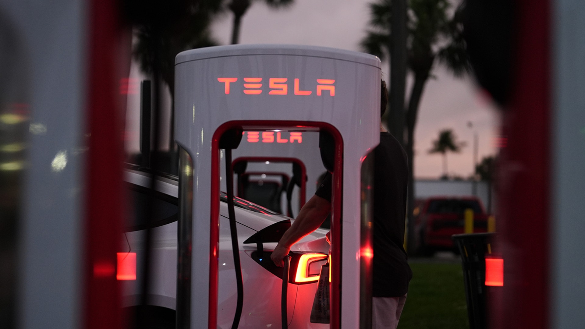 En Tesla-laddstation för elfordon med röd belysning och palmer i bakgrunden under skymning.
