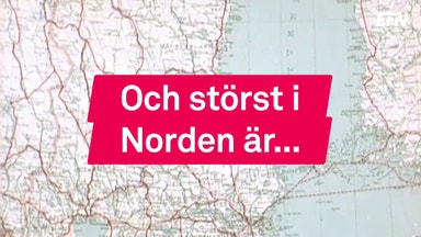 Här är Nordens största bolag