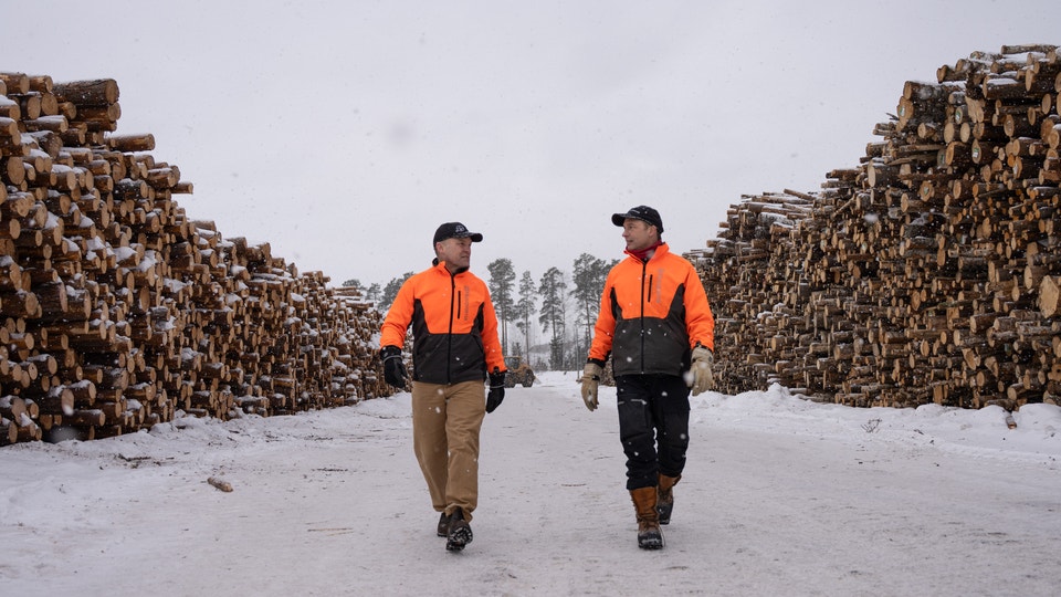 Två arbetare i orange västar går mellan höga stockar vid en timmerterminalen under vinterklimat.