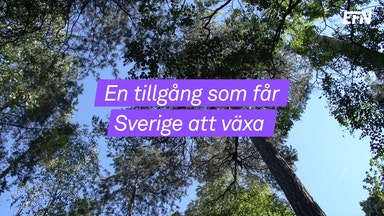 En växande tillgång