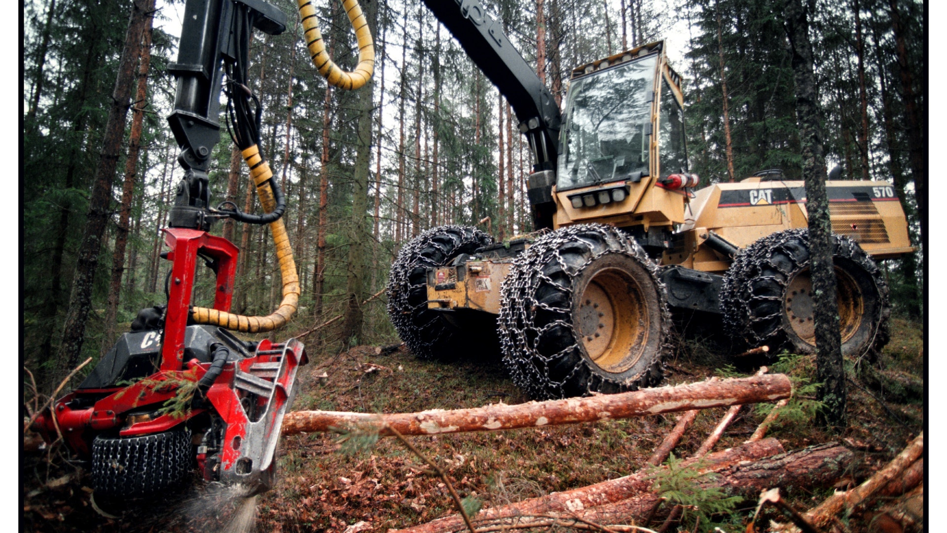 Bild på skog och traktor.