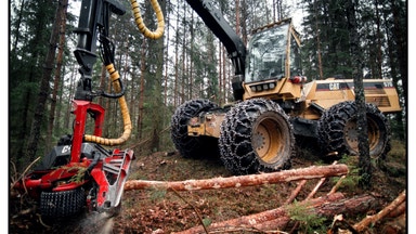 Prislyft för skogsfastigheter 2025