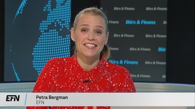 Finsk ekonomi sårbar i handelskriget