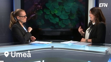 Så vet du om bolaget är hållbart