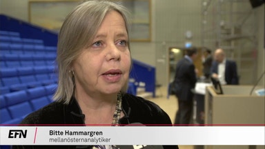 "Mohammed bin Salman vill säkra sin väg till tronen"