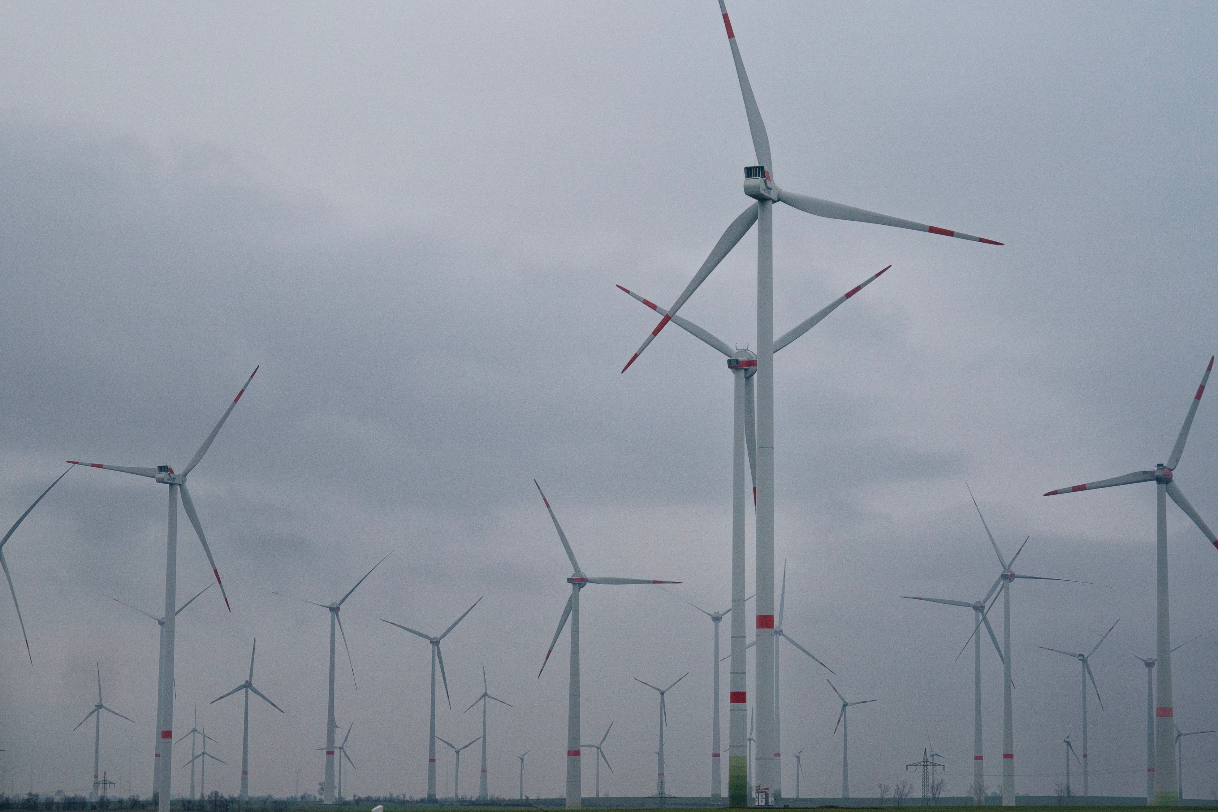 Efter flera år av snabb sektorexpansion är tyska företag som utvecklar grön energi på väg in i en period med utslagningar.