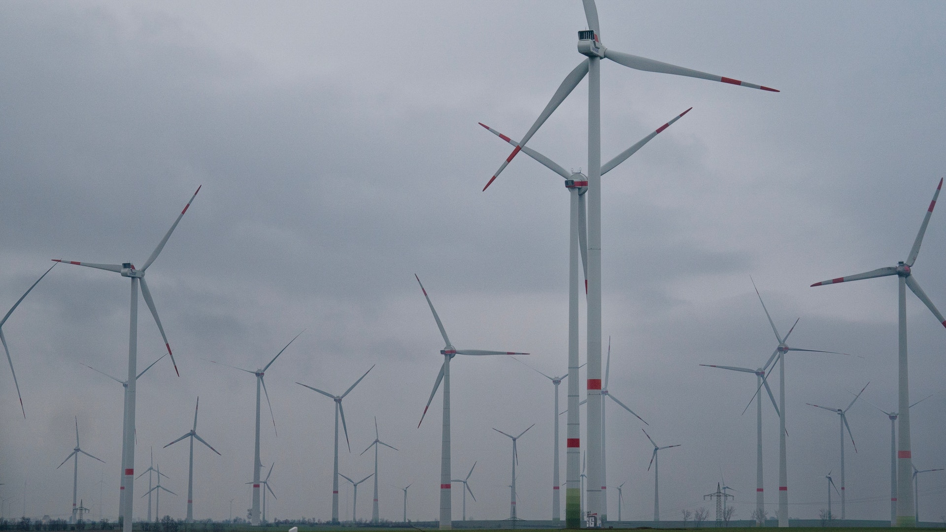 Efter flera år av snabb sektorexpansion är tyska företag som utvecklar grön energi på väg in i en period med utslagningar.