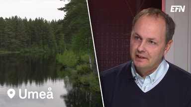 Vad vill politikerna med skogen?