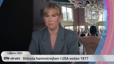 Hamnstrejk i USA – svenska konkurser ökar