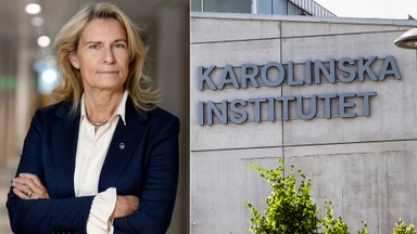 Ny svensk satsning ska locka forskare från USA