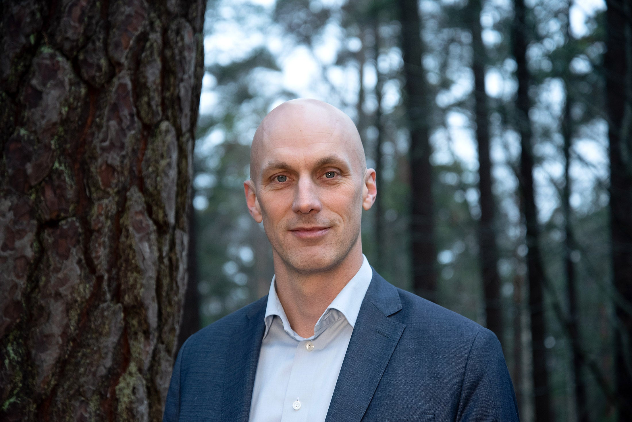 Porträtt av en flintskallig man i blå kavaj och ljus skjorta som står i en skog bredvid en stor trädstam.