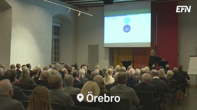 Sektorerna som Handelsbanken ratar