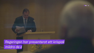 Så ska företag och jobb räddas