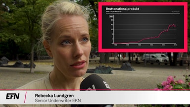 Botswana en afrikansk framgångssaga