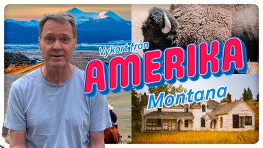 Domedags-staten som påminner Trump hur världen hänger ihop