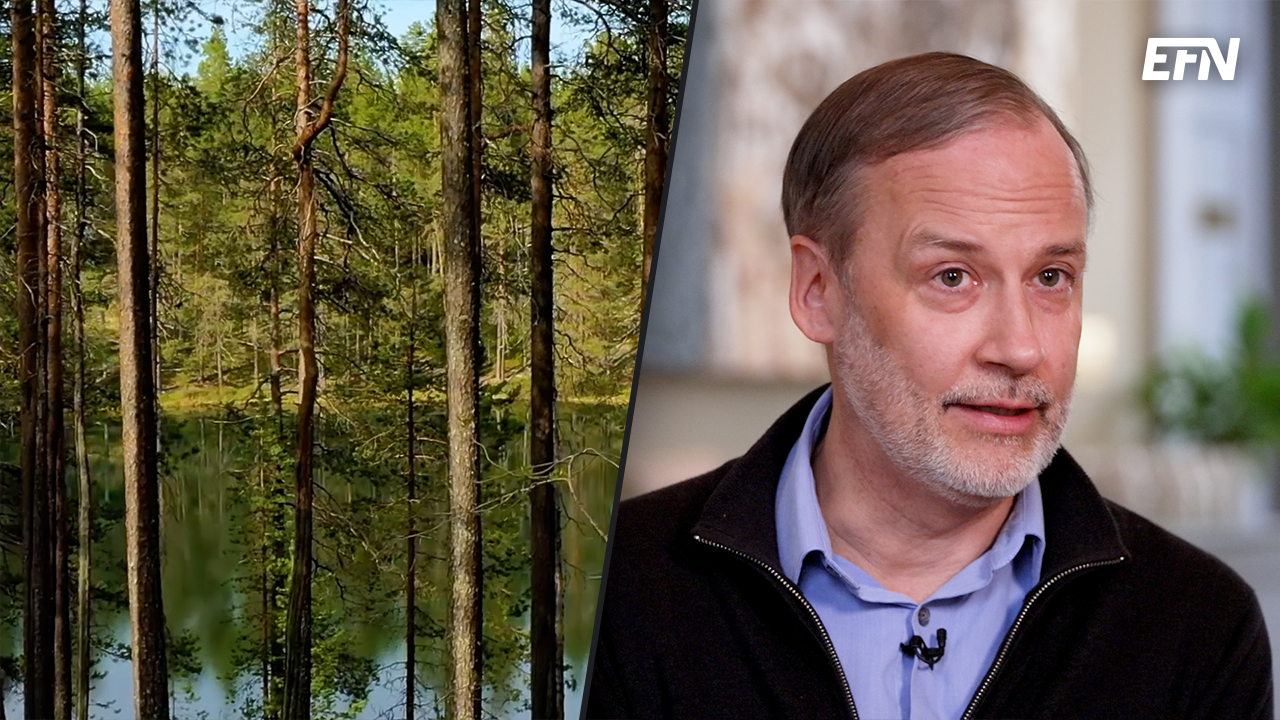 Ett montage med tallar som speglas i en sjö till vänster, och Niklas von Weimarn till höger.