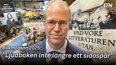 Bokmässan 2025: Branschen jagar nya intäkter