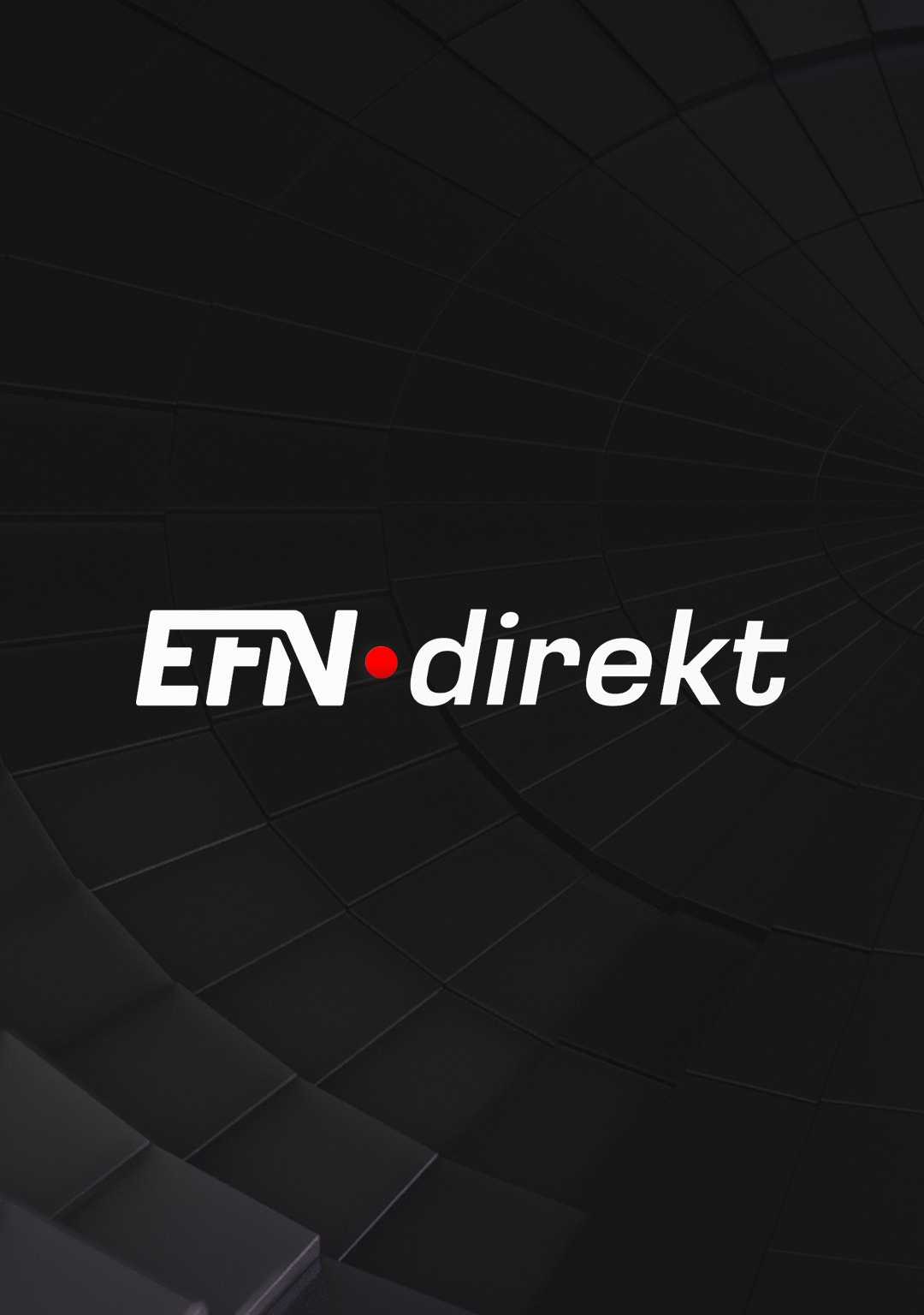 Efn Example EFN Play – Ekonominyheter och analyser i videoformat