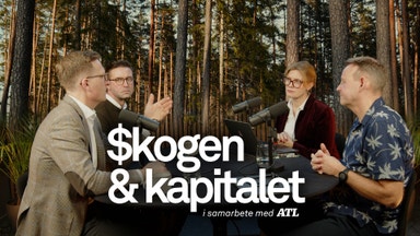 ”Oligopol sätter priserna i svensk virkeshandel”